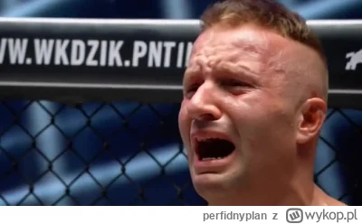 perfidnyplan - #famemma