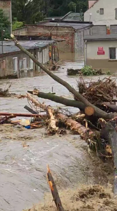 czerwona_krewetka - To jednak człowiek. Pani Bożenka potwierdziła, że faktycznie tam ...