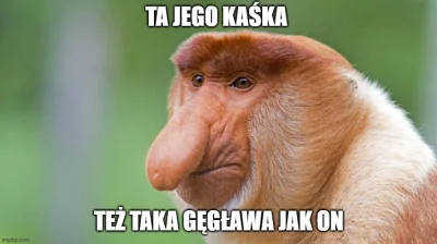 przeczki - @Hokey: lol