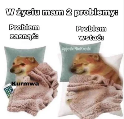 wscieklizna_irl