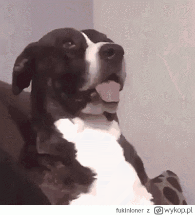 fukinloner - @wscieklepiesciweza: 
czekaj czekaj...