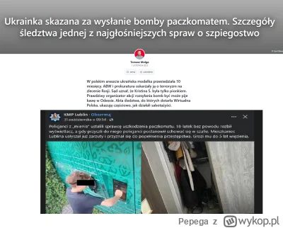 Pepega - czyli za bombe w paczkomacie jest 6000zl a za cios w paczkomat do 5 lat? 
#p...