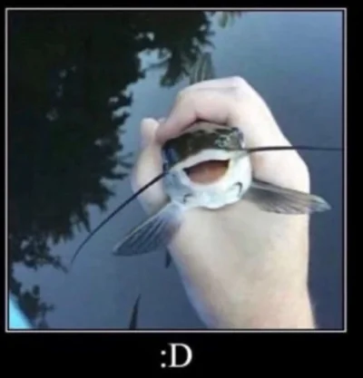 psspspspsp - @vieniasn: