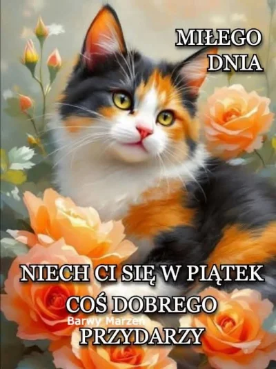 notakjakbytotalnie_ - #kartkanarano