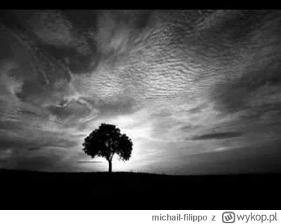 michail-filippo - @zielonedrzewohehe: https://www.youtube.com/watch?v=3tOZvDO1iSk Ocz...