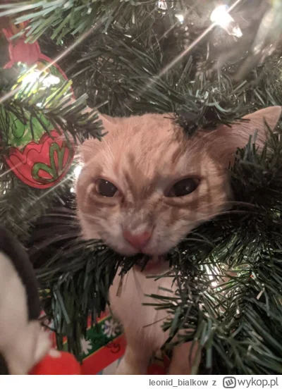 leonid_bialkow - IDEM TAM GDZIE IDEM NIE IDEM GDZIE NIE IDEM