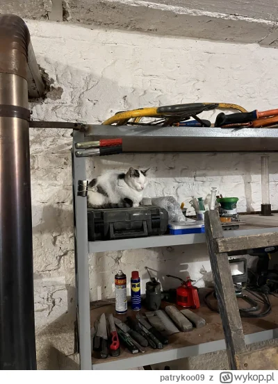 patrykoo09 - @patrykoo09: