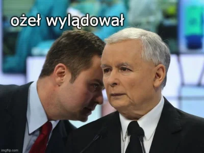 Swierzop_Bursztynowy