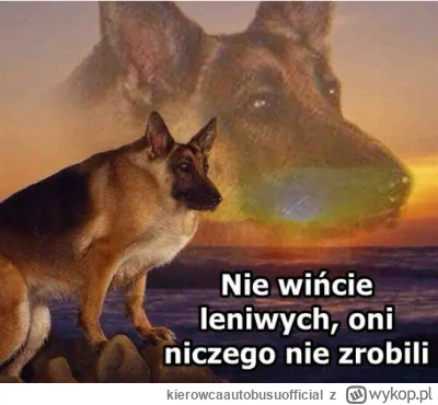 kierowcaautobusuofficial