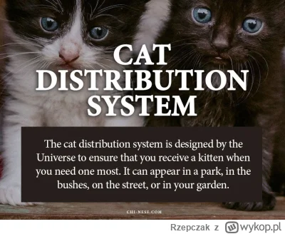 Rzepczak - @Qubanczyk: