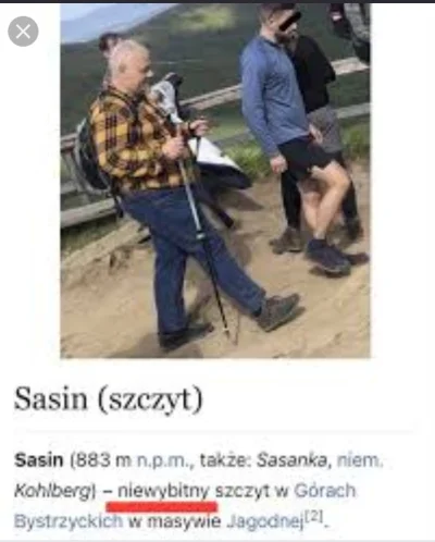 grand_khavatari - #sejm #polityka #sasin #bekazpisu