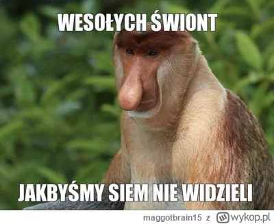 maggotbrain15 - #bitcoin
Wszystkiego dobrego ludzie. I żeby szitkojniarze i fiaciarze...