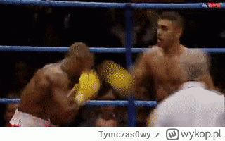 Tymczas0wy - Naseem Hamed, ale to był kot.

#boks