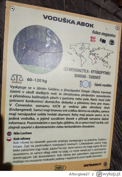 Afterglow27 - U antylop to samo: czekoladowe samce, jasne samice. 😀