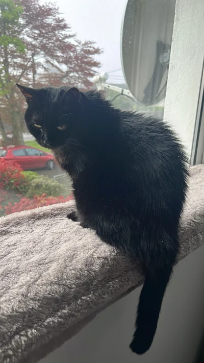 PanParasol - @cornel9192: Moja Tosia (15 w pazdzierniku) przesyla duzo zyczen zdrowka...