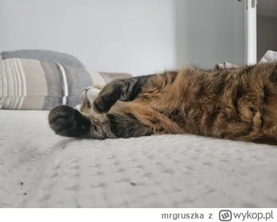 mrgruszka - @Eliade ajjjj