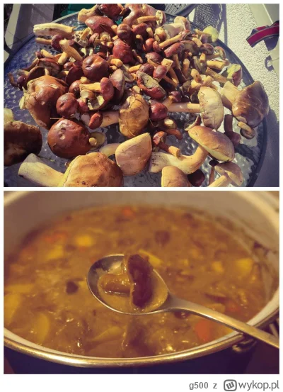 g500 - #gotujzwykopem #grzyby #chillout