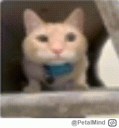 PetalMind - @ibleedforyou: a to już nie jest poważne konto??