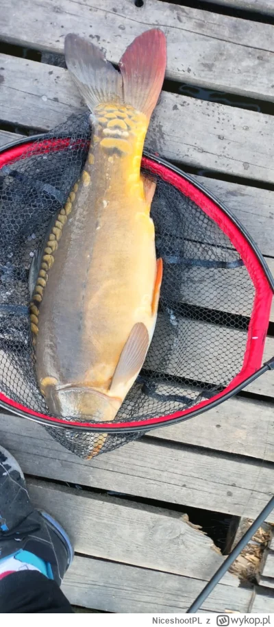 NiceshootPL - Dzisiaj pobiłem wszystkie rekordy, takiego dnia konia nie miałem w życi...