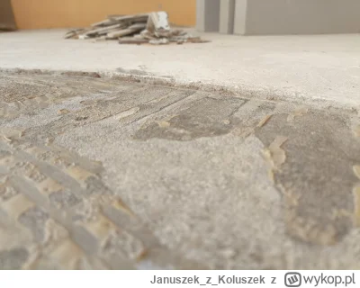 JanuszekzKoluszek - Witam serdecznie wszystkich forumowiczów, proszę o poradę. Czym t...