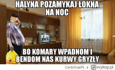 Cerb3rusPL - #konkursnanajbardziejgownianymemznosaczem #kolekcjaklasyki