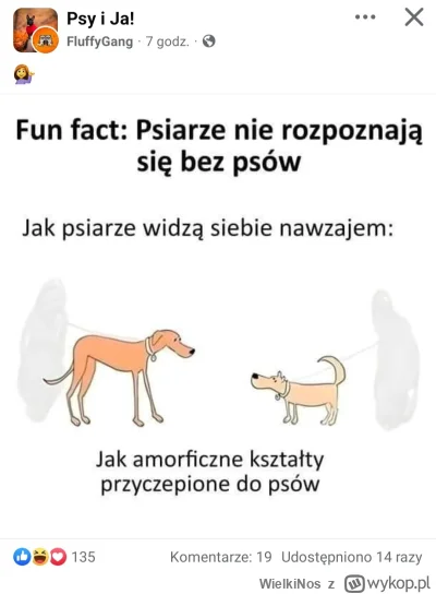 WielkiNos - >tym "ludziom" powinny być odbierane prawa wyborcze 

@Mihu_ tym bardziej...