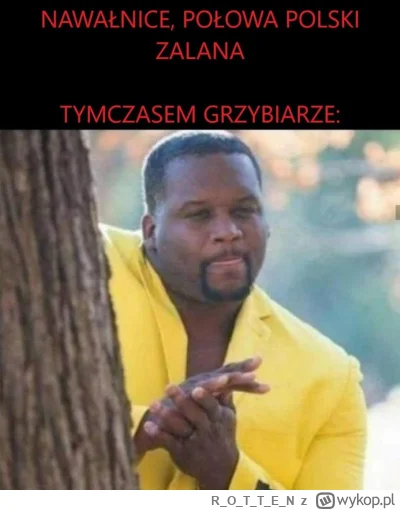 ROTTE_N - #powodz #heheszki