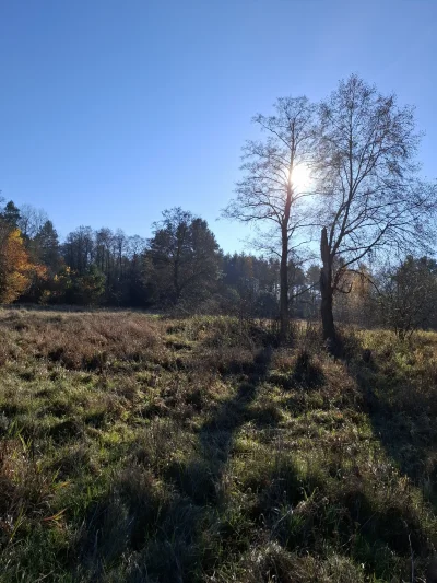 Gontyn- - #przegryw #spierdotrip