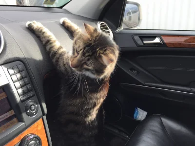 Monochrome_Man - Takie coś wzięło i się zalęgło, przyjacielskie i puszyste to może zo...