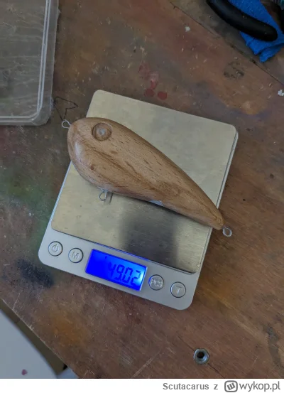 Scutacarus - #wedkarstwo #poznanskieprzygodywedkarskie 
A dzisiaj taki jerk "UL"