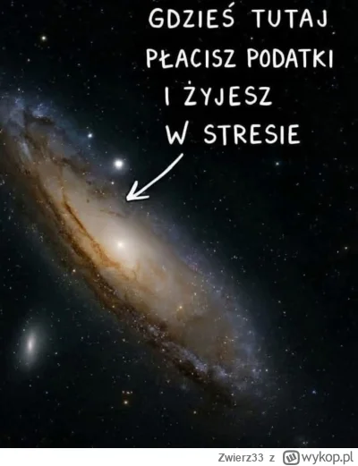 Zwierz33 - #przegryw