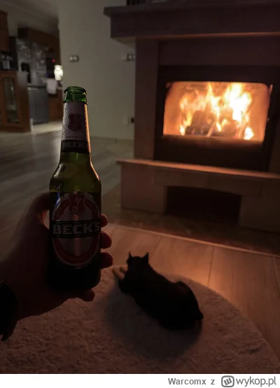 Warcomx - Mam psa, takiego można by powiedzieć zabawkowego i bardzo go kocham, bo jes...