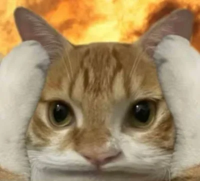 Czosnkov - Mam fiubździu w głowie #gownowpis