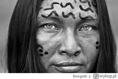thorgoth - @thorgoth: odnaleziona ponownie przez fotografa w 2015 roku, bedąca już sz...