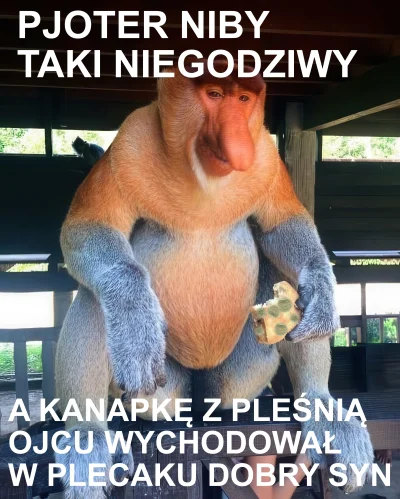 paczelok - inpulsa est aliquid boni dicere de eo, imo #konkursnanajbardziejgownianyme...