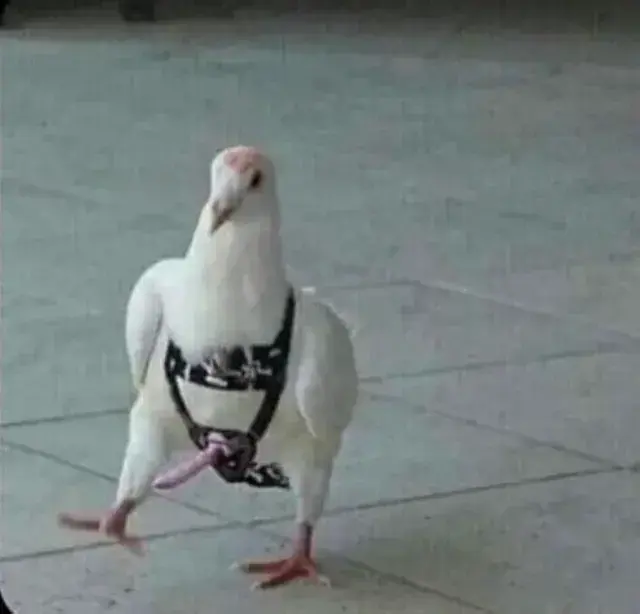 igorsped - @SonyKroki

SŁONY(⌐ ͡■ ͜ʖ ͡■)