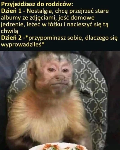 czykoniemnieslysza - #memy