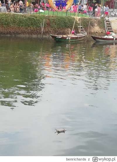 benrichards - byłem, widziałem, było warto. Kazik to dla nich jak papież. smaczki też...