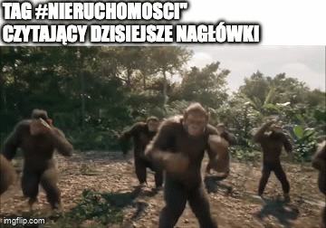 Polska5Ever - APES STRONG TOGETHER
#nieruchomosci #heheszki