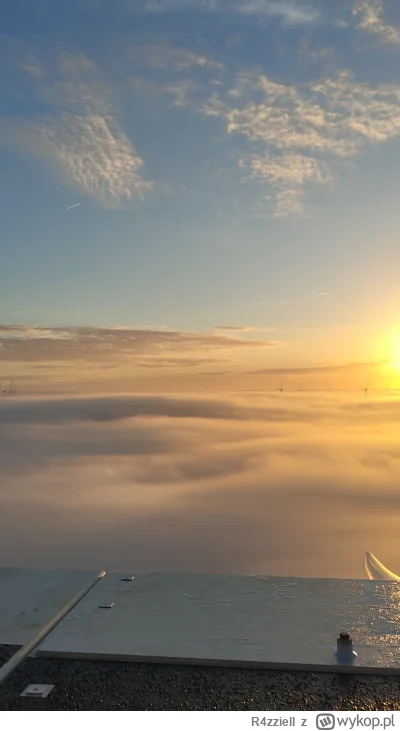 R4zziell - #pracbaza #chwalesie