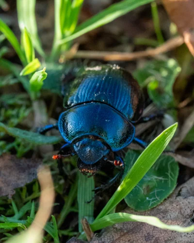 LoopyMajestic - @LoopyMajestic: