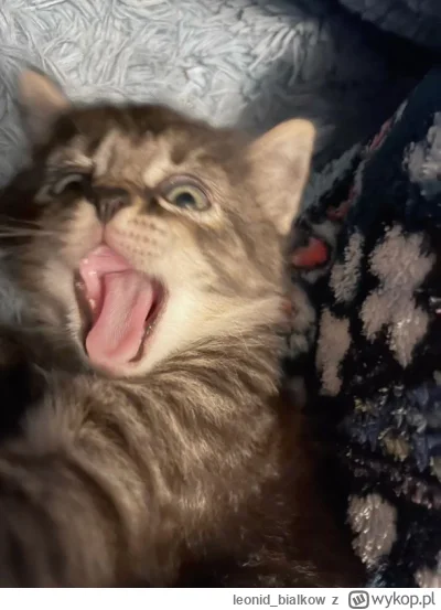 leonid_bialkow - AAAAAAAAAAAAAAAAAAAAAAAAAAAAAAAAAAAAAAAAAAA