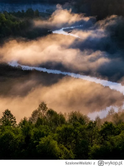 SzaloneWalizki - Cześć, rzadko trafia się taki wschód słońca, takie warunki, z mgłą i...