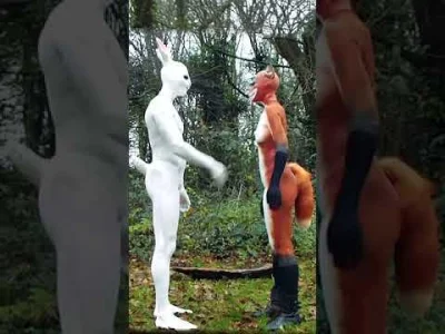 Neocaridina - #furry #zootopia