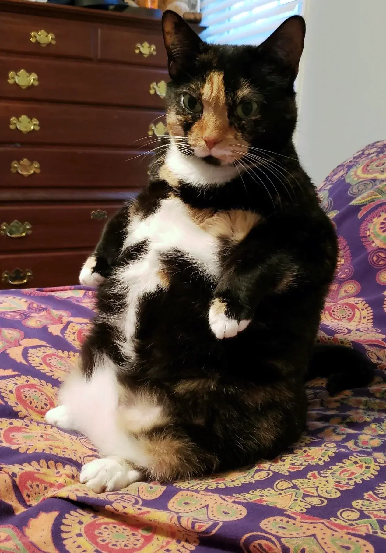 wfyokyga - Siedze se juz