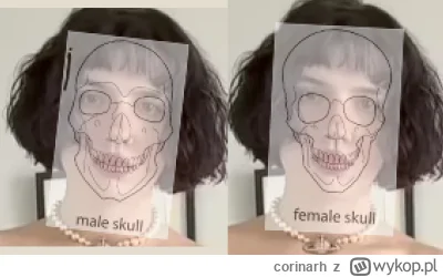 corinarh - @dywergent: Tak to troon, nawet po samych kościach mordy można to stwierdz...