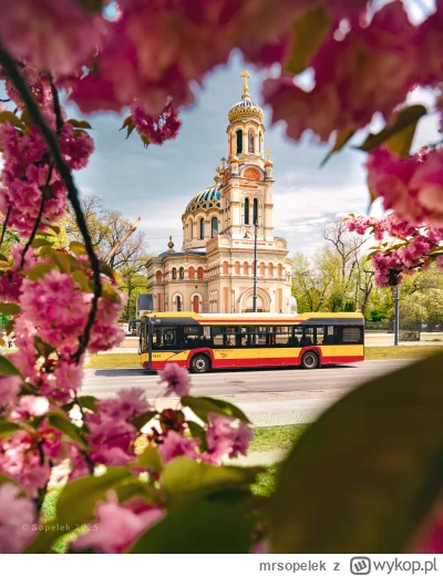 mrsopelek - Długo kombinowałem nad tym kadrem, żeby zrobić ramkę, jak najbardziej ide...