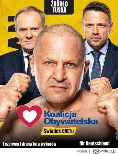 Plotyn - Cóż szkodzi POmówić

#wybory #polityka