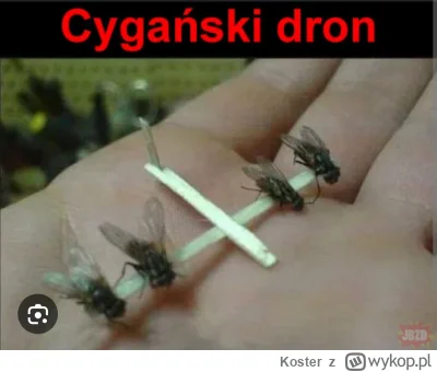 Koster - @dnbmaniac ale cygański dron wygrywa