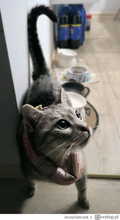 JerzyDabczak - Mówili, że będę mógł zostać kim chcę, więc zostałem reklamą pasztetowe...